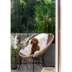 KARE Design Meubles><noscript><img width=