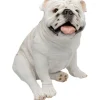 KARE Design Accessoires>Figurine décorative Dog Troy
