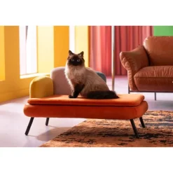 KARE Design Meubles>Lit pour chien/chat Diva orange