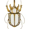 KARE Design Accessoires>Objet mural Beetle miroir 25x39cm