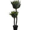 KARE Design Accessoires>Plante décorative Agave 120cm