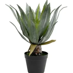 KARE Design Accessoires>Plante décorative Agave 40cm