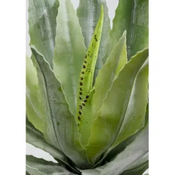 KARE Design Accessoires>Plante décorative Agave 40cm