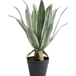 KARE Design Accessoires>Plante décorative Agave 50cm
