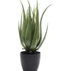 KARE Design Accessoires>Plante décorative Aloe 69cm