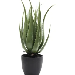 KARE Design Accessoires>Plante décorative Aloe 69cm