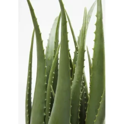 KARE Design Accessoires>Plante décorative Aloe 69cm