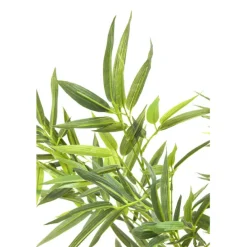 KARE Design Accessoires>Plante décorative Bamboo Tree 200cm