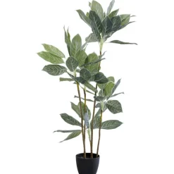 KARE Design Accessoires>Plante décorative Calathea 140cm