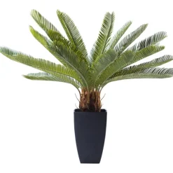 KARE Design Accessoires>Plante décorative Cycas Tree 78cm