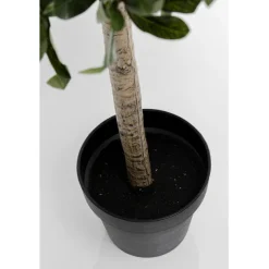 KARE Design Accessoires><noscript><img width=