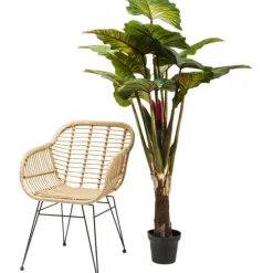 KARE Design Accessoires><noscript><img width=
