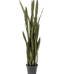 KARE Design Accessoires>Plante décorative Sansewieria 155cm