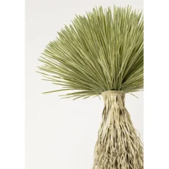 KARE Design Accessoires>Plante décorative Yucca Rostrata 240cm