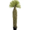 KARE Design Accessoires>Plante décorative Yucca Rostrata 180cm