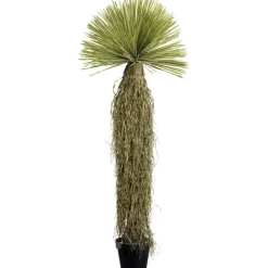 KARE Design Accessoires>Plante décorative Yucca Rostrata 180cm